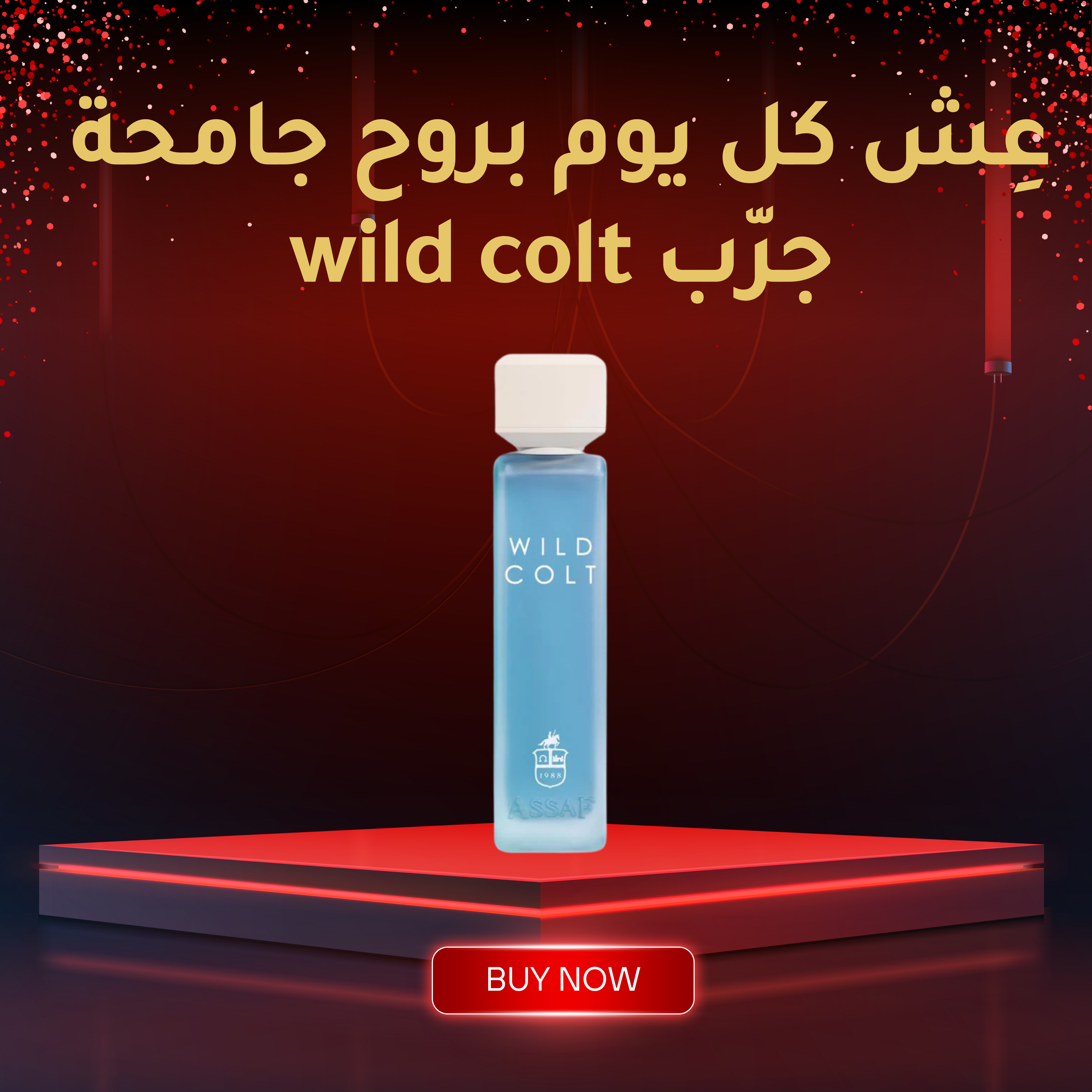 ASSAF من WILD COLT  عطر