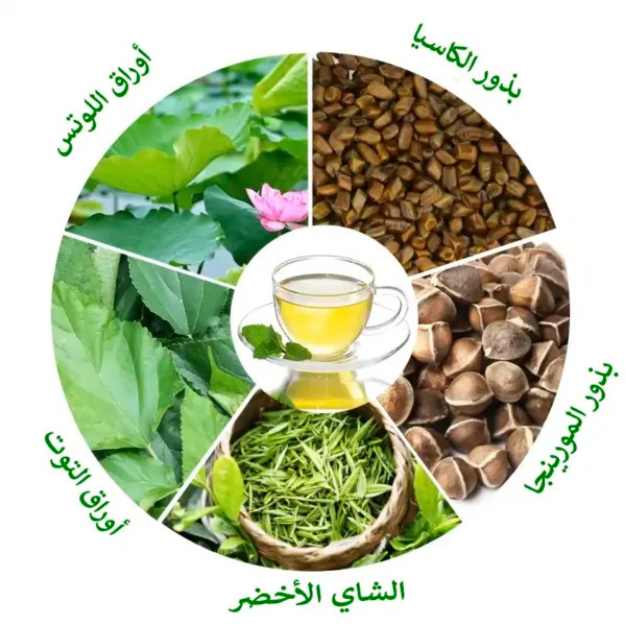 الشاي الأخضر الأصلي – للتخسيس، تخفيف ضغط الدم، محاربة السرطان، وآلام المفاصل